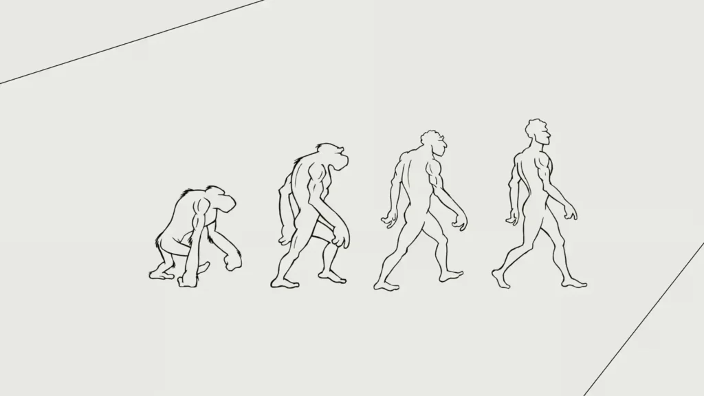 Darwin & Verne rebranding preview banner