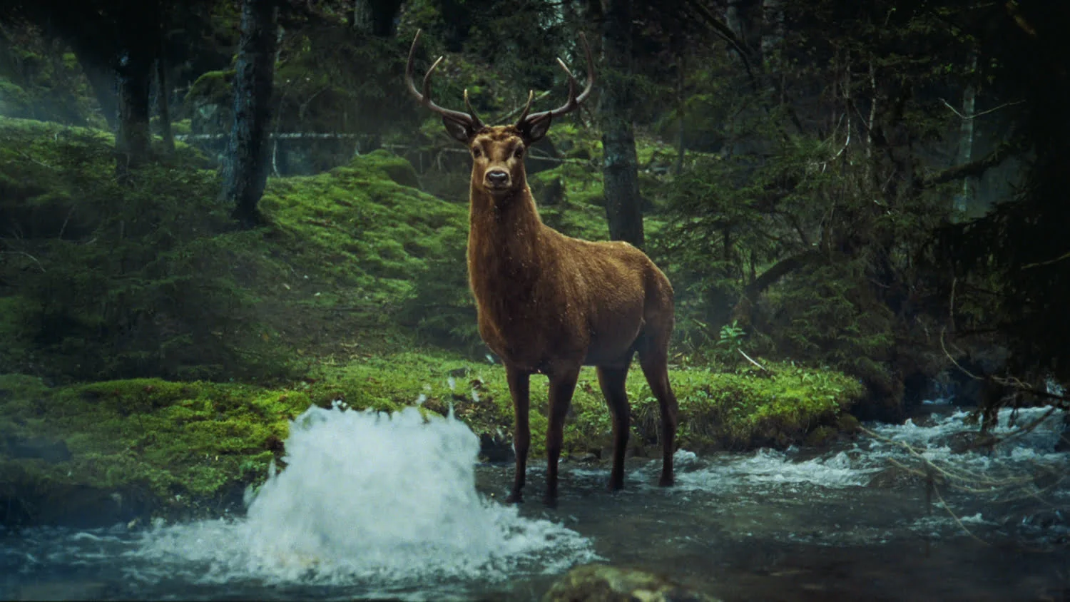 Agency hero graphic 5