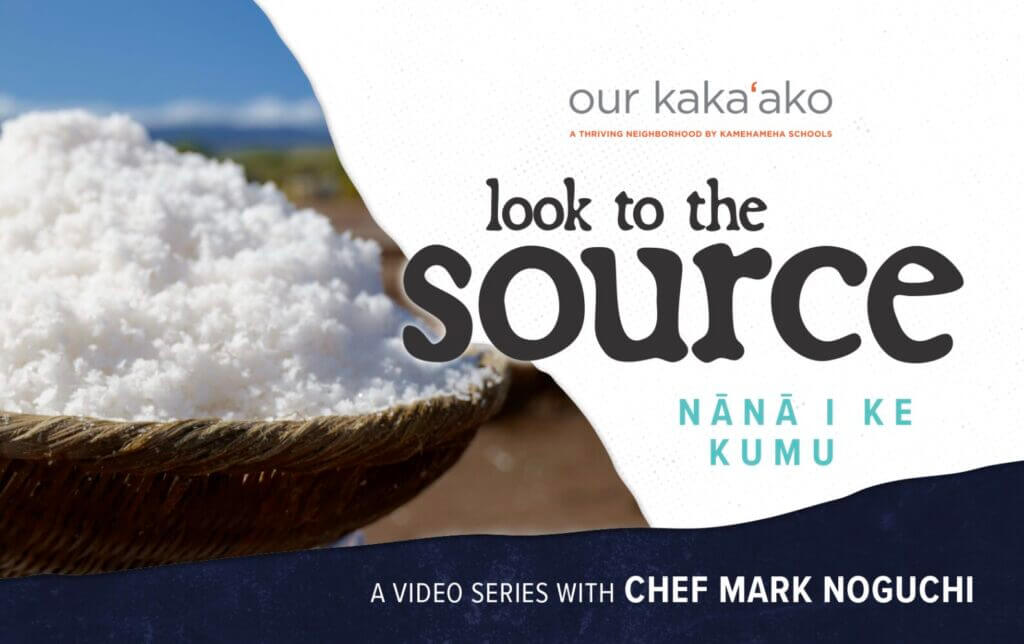 Look to the Source: Nānā I Ke Kumu preview banner